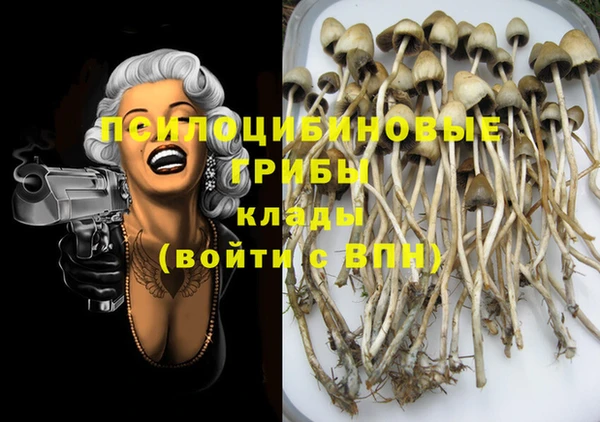 первитин Коряжма