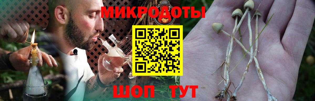 Галлюциногенные грибы мухоморы  Галлюциногенные грибы прущие грибы  Лобня  Вход с VPN 
